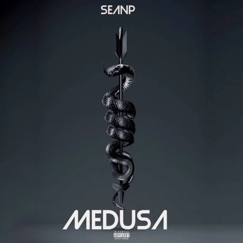 Medusa Sample Pack - RouteNote Create