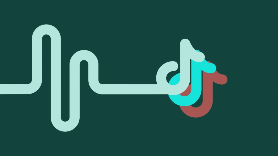 How to Use TikTok to Promote Your Music and Build an Audience