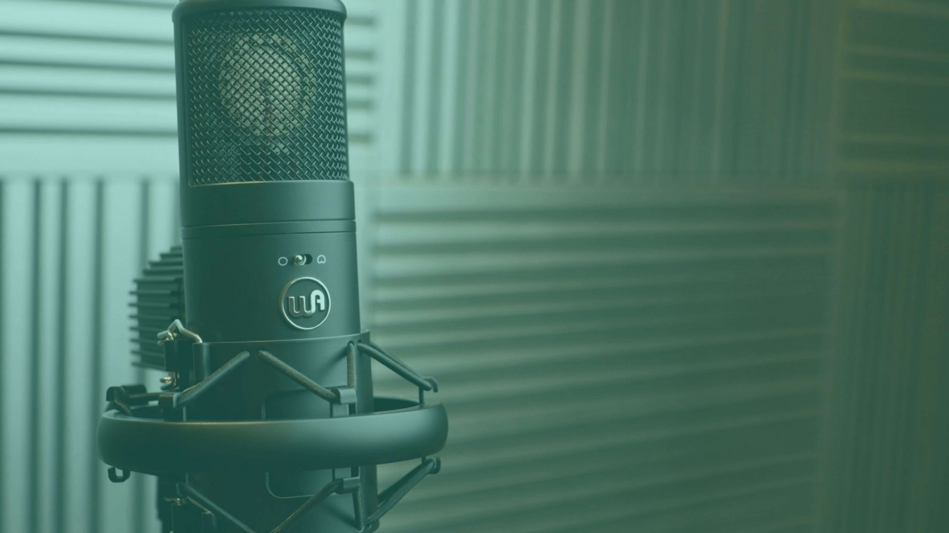 Warm Audio’s WA-8000: An Alternative to Sony’s C-800G Microphone ...