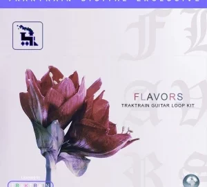 TRAKTRAIN – Flavors Guitar Loop Kit is Live on RouteNote Create