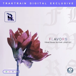 TRAKTRAIN – Flavors Guitar Loop Kit is Live on RouteNote Create