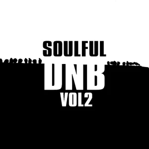 Warrior Sound – Soulful DnB Vol 2 is Live on RouteNote Create