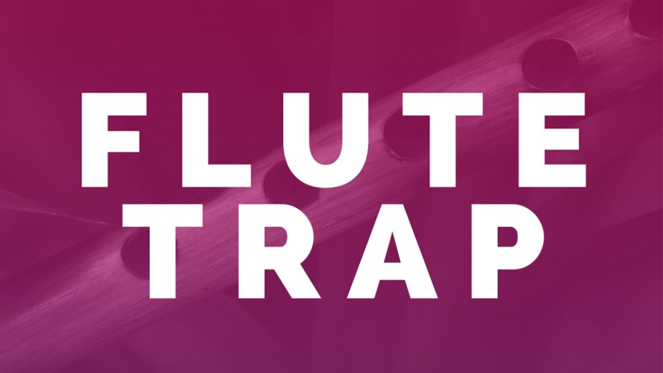 Smokey Loops – Flute Trap is Live on RouteNote Create