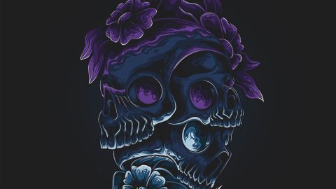 Smokey Loops – Flower Skull Trap is now Live on RouteNote Create